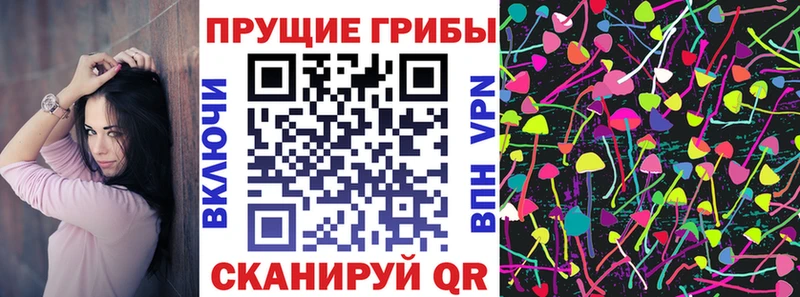 цены наркотик  Мезень  Псилоцибиновые грибы MAGIC MUSHROOMS 